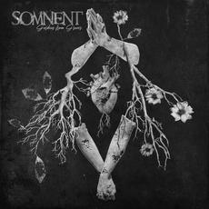 Gardens From Graves mp3 Album by Somnent