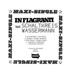 In Flagranti Featuring Schaltkreis Wasserman mp3 Compilation by Various Artists