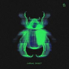 Carnal Insect mp3 Album by The Fair Attempts