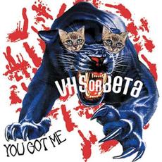 You Got Me mp3 Single by Vhs Or Beta