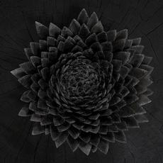 Obsidian mp3 Album by Jónsi
