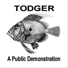 A Public Demonstration mp3 Album by Todger