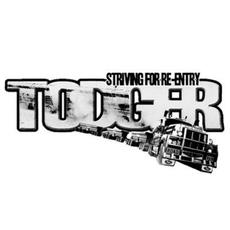 Striving For Re-Entry mp3 Album by Todger