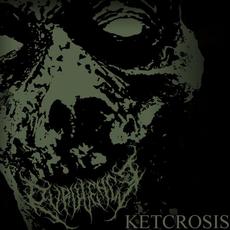 Ketcrosis mp3 Single by Purulence