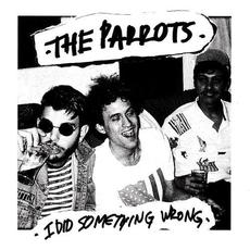 I Did Something Wrong mp3 Single by The Parrots