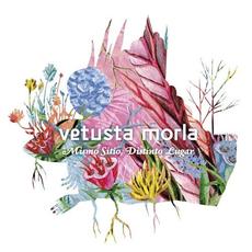 Mismo sitio, distinto lugar mp3 Album by Vetusta Morla