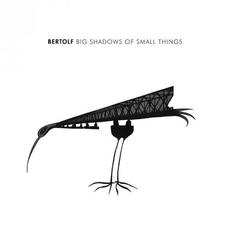 Big Shadows of Small Things mp3 Album by Bertolf