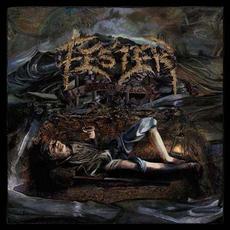 A Celebration Of Death mp3 Album by Fester