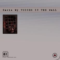 Voice in the wall mp3 Single by Karin My