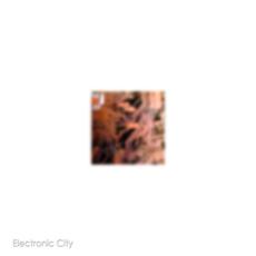 Electronic City mp3 Album by K. Markov