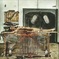 From Crotch to Crown mp3 Album by Prostitute Disfigurement