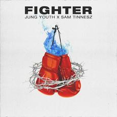 Fighter mp3 Single by Sam Tinnesz