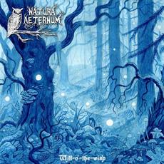 Will-o'-the-wisp mp3 Album by Natura Aeternum