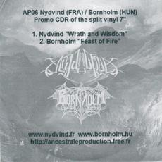Nydvind / Bornholm mp3 Compilation by Various Artists