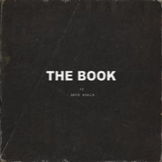 The Book mp3 Single by Seth Ennis