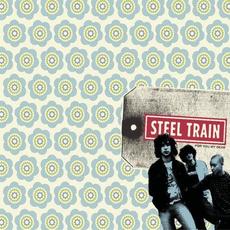 For You My Dear mp3 Album by Steel Train