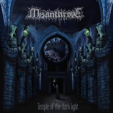 Temple of the Dark Light mp3 Album by Misanthrope (2)