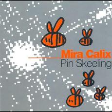 Pin Skeeling mp3 Album by Mira Calix