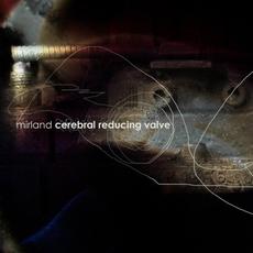 Cerebral Reducing Valve mp3 Album by Mirland