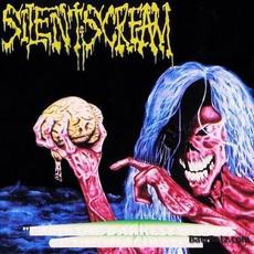 From The Darkest Depths Of The Imagination mp3 Album by Silent Scream (2)
