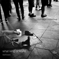 What Kind of World (Remixes) mp3 Remix by Montage Collective