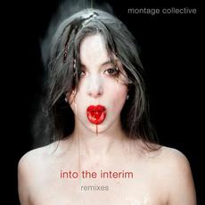 Into the Interim (Remixes) mp3 Remix by Montage Collective