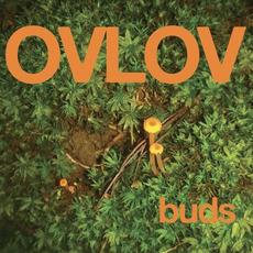 Buds mp3 Album by ovlov