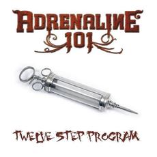 Twelve Step Program mp3 Album by Adrenaline 101