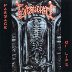 Passage of Life mp3 Album by Excruciate