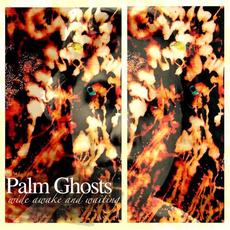 Wide Awake and Waiting mp3 Album by Palm Ghosts