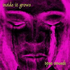 Open Wounds mp3 Single by Inside It Grows