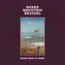 Everything in Sight mp3 Album by Snake Mountain Revival