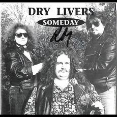 Someday mp3 Album by Dry Livers