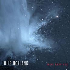 Wine Dark Sea mp3 Album by Jolie Holland