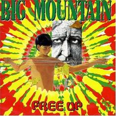 Free Up mp3 Album by Big Mountain