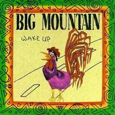 Wake Up mp3 Album by Big Mountain