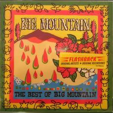 The Best of Big Mountain mp3 Artist Compilation by Big Mountain