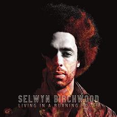 Living in a Burning House mp3 Album by Selwyn Birchwood