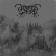 Desolation mp3 Album by Nordicwinter