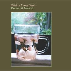 Within These Walls mp3 Album by Damon & Naomi