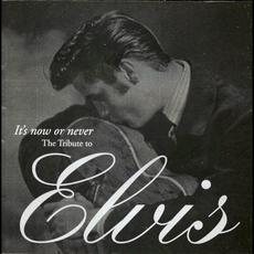 It's Now or Never: The Tribute to Elvis mp3 Compilation by Various Artists