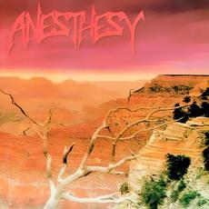 The Fifth Season mp3 Album by Anesthesy