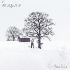 Arctic Tundra mp3 Album by Strangejuice