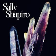 Forget About You mp3 Single by Sally Shapiro