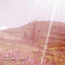 Natural Light mp3 Album by Arthur C. Lee