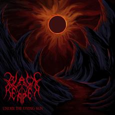 Under the Dying Sun mp3 Album by Black Reaper