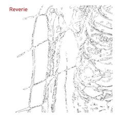 Reverie mp3 Album by Honey Beard