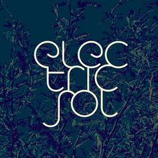 Electric Sol mp3 Album by Electric Sol