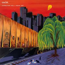 Conversations With A Willow Tree mp3 Album by Calm.