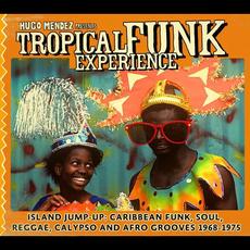 Tropical Funk Experience mp3 Compilation by Various Artists